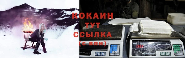 СК Бородино