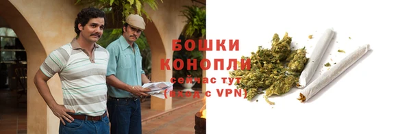 спиды Осташков
